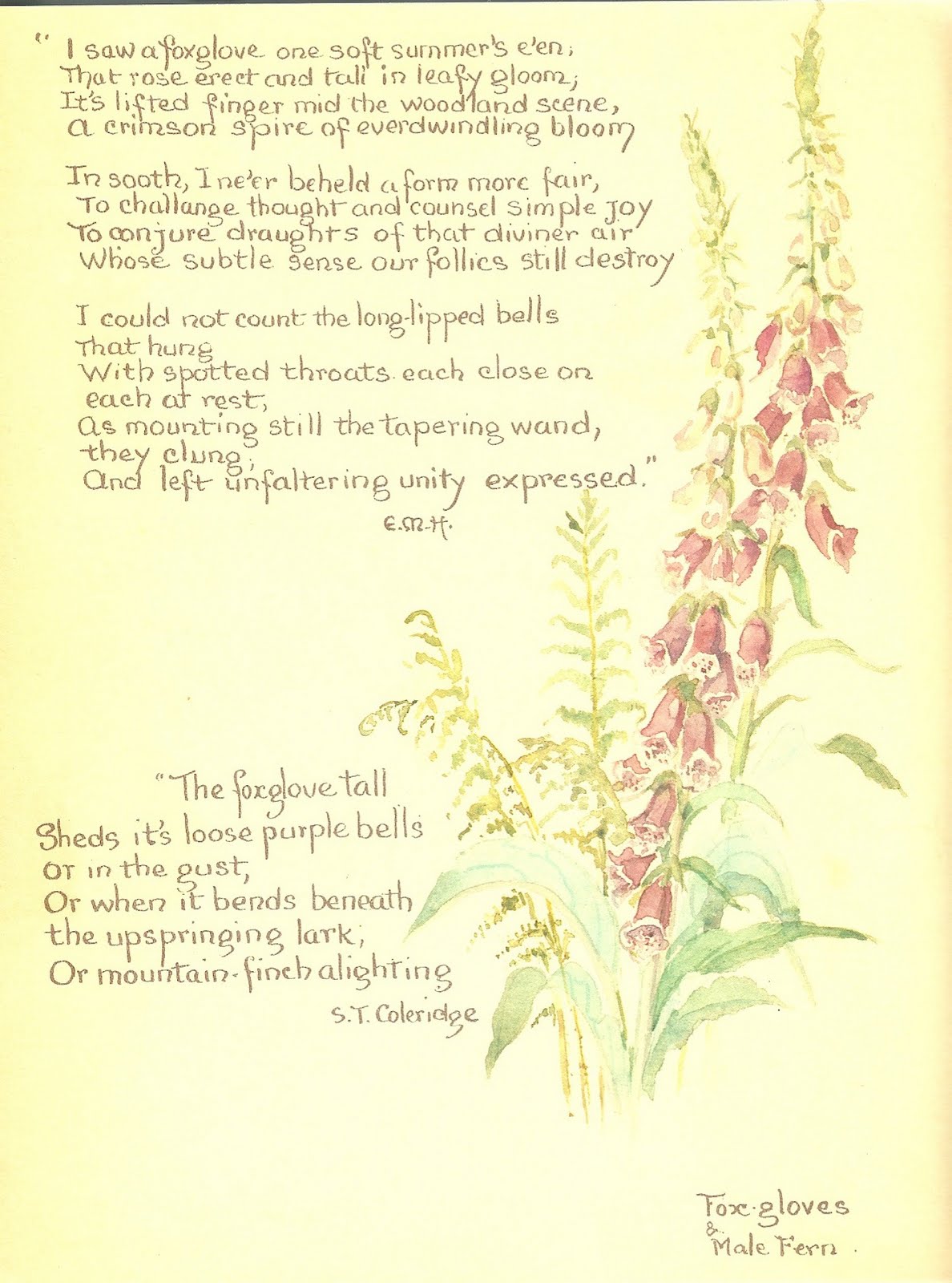 Dirt Balls: June - The Nature Notes of an Edwardian Lady - Edith